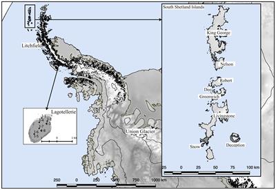 Amplicon-Metagenomic Analysis of Fungi from Antarctic Terrestrial Habitats